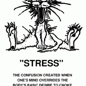 funny quotes about stress funny quotes about stress funny quotes about ...