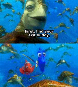 do you have your exit buddy finding nemo
