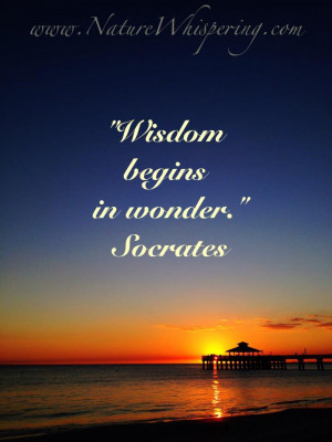 Socrates Quotes Ignorance
