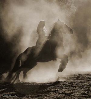 Horse Lovers Comments and Graphics Codes!