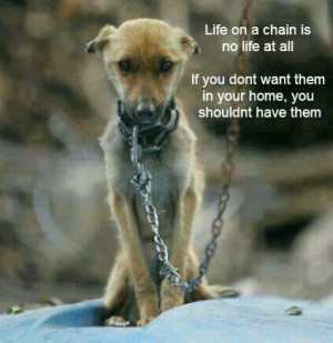 Stop animal cruelty!!!