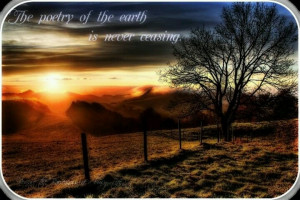 Unknown photographrr & anonymous quote.