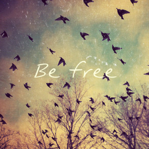 be, be free, bird, free, photography, phrase, quote, tree