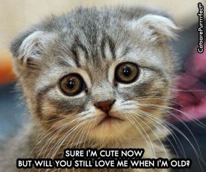 Sure I'm Cute Now But You Will Still Love Me When I'm Old - Funny ...