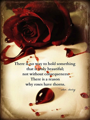 is a reason why roses have thorns black rose red gothic life ...