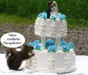funny squirrel eating wedding cake