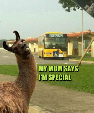 My Mom Says I’m Special