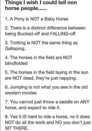 Things to tell a non- horse person