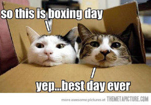 boxing day » Got Smile? - Funny Pictures, Videos, Games, News ...