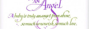 Angel port web