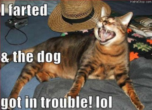 Views: 39,908 | Rating: 3.64