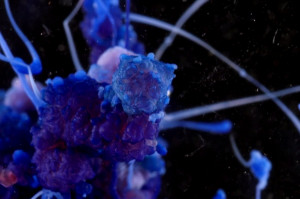 These Beautiful Videos Of Chemical Reactions Will Take Your Breath ...
