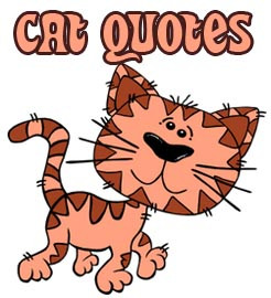 Cat quotes and Sayings