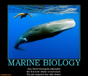 marine biology demotivational posters 1309892866