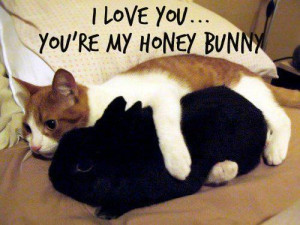 love you… You’re my honey bunny