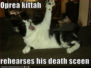 It's not only my cats who seems to enjoy opera! ;P But I suspect mine ...