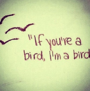 Fly away #thenotebook