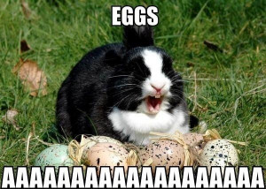 Funny Easter Bunny Quotes and Pictures (9)