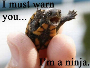 Ninja-Turtle