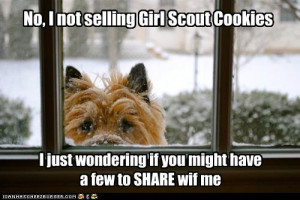 Madison has some misgivings about the way the cookie crumbled. She ...