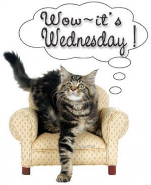 All Graphics » great wednesday CAT