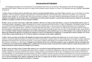 APICULTURA EN MISIONES