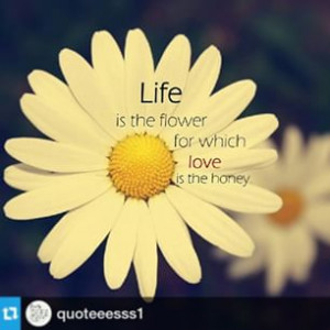 Repost @quoteeesss1 ・・・ Follow! ♡♡♡ #quote #quotes # ...