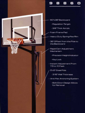 basketball hoop lifetime portable