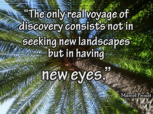 The only real voyage of discovery consists not in seeking new ...
