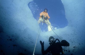 Diver under hole in ice, Signy Island, South Orkneys, Antarctica ...