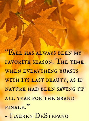 14 Fabulous Fall Quotes: Wonderful Words for Autumn!