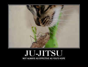 Related Pictures funny jiu jitsu quotes
