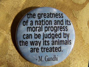 Gandhi quote on animal rights AMEN!