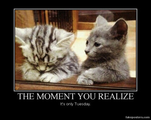 That Moment When You Realize Quotes