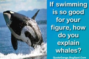 Funny Swimming Quotes Cute...