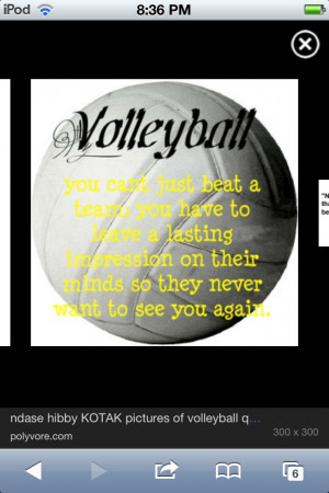 Quotes About Volleyball
