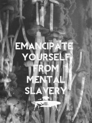 emancipate yourself from mental slavery