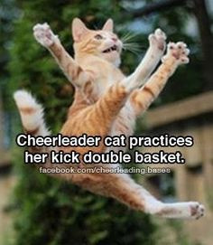 Haha #spirit #accessories loves #cheer cat! #funny #cheerleading # ...