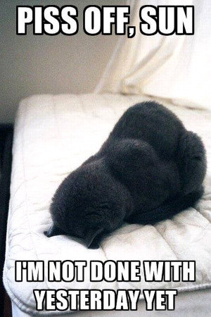 Published 2012/06/07 at 600 × 900 in Daily Picdump #482 .