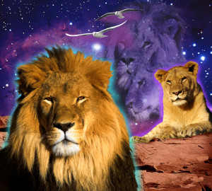 Related Pictures lioness and lion quotes