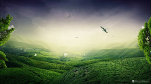 Green Landscape Beautiful Nature Wallpaper