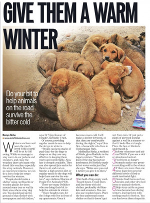 How to keep stray dogs warm during this hard Winter