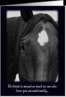 Quotes About Losing A Pet Horse ~ Loss of Horse Sympathy Cards from ...