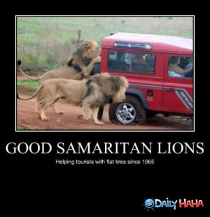 Good_Samaritans_funny_picture