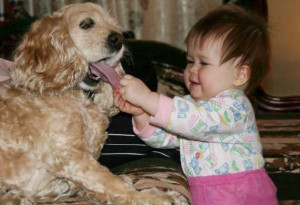 Süße Baby's und Hunde sind eine tolle Kombination! #2