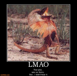 LMAO - That joke... was so funny... But... I didn't hear it.