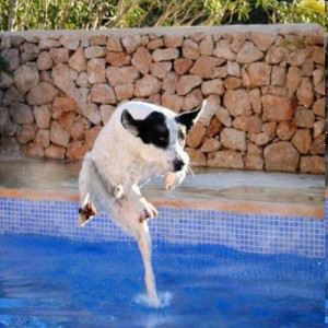 The Most Funny Pictures Ever Seen Before