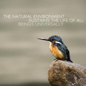 Environmental quotes, wise, sayings, deep, natural