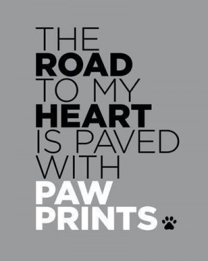 Follow the Road with Paw Prints