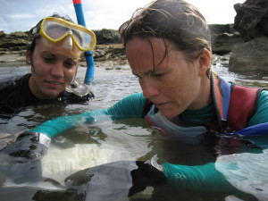 Women Marine Biologists Famous